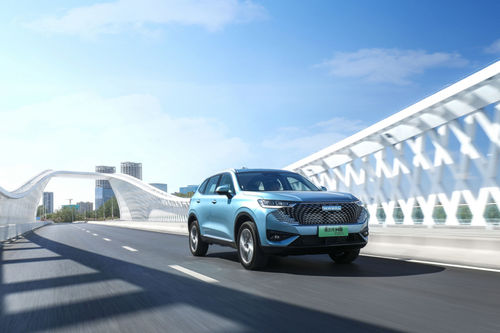HAVAL-Starlight canopy adhesive