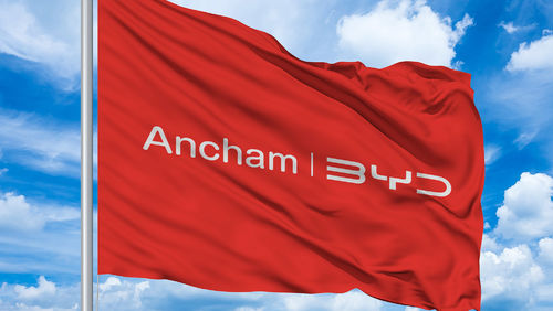 Latest company blogs about Ancham successfully passed BYD's annual audit